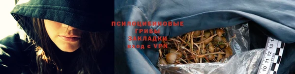 бошки Бородино
