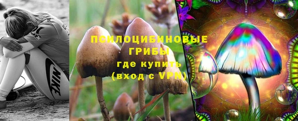 прущая мука Лихославль