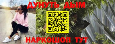 соль ск Кингисепп