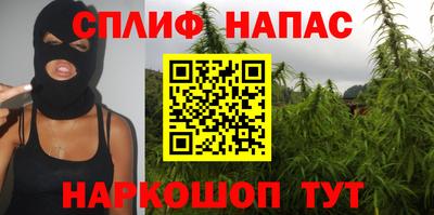 соль ск Кингисепп