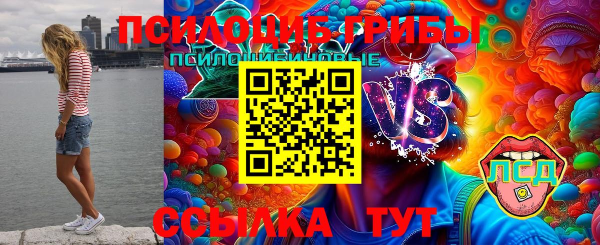 Галлюциногенные грибы MAGIC MUSHROOMS Пенза