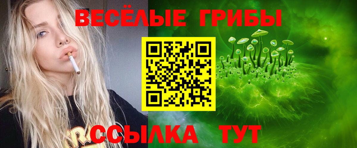 Галлюциногенные грибы GOLDEN TEACHER Пенза