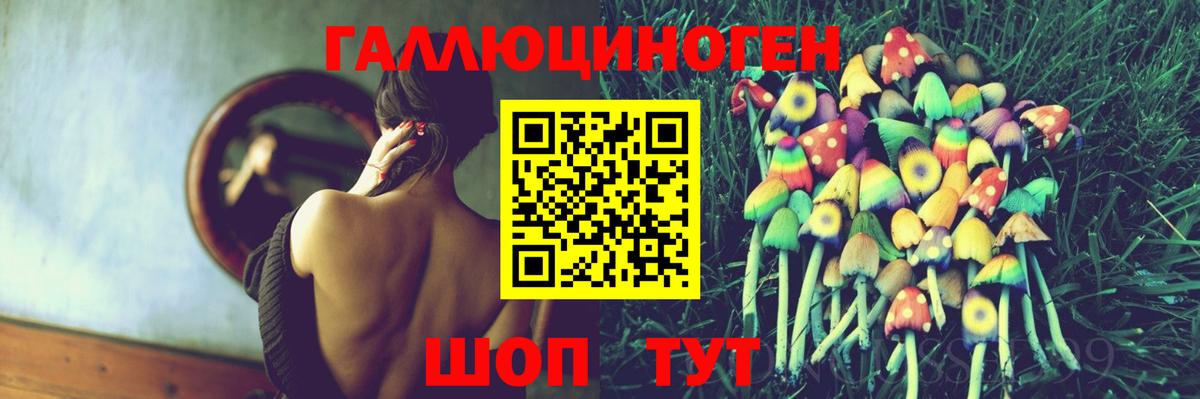 Псилоцибиновые грибы Psilocybe  Вход с VPN  купить   Галлюциногенные грибы MAGIC MUSHROOMS  Пенза 